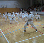 karateklub_slika
