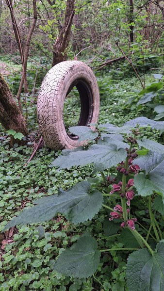 Otpad-u-prirodi-2 338x600